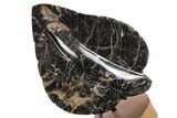 Polished Black Moonstone Leaf with Stand - Madagascar #355279-1